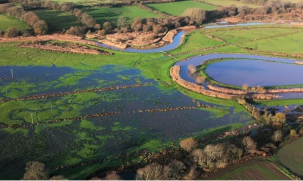 WE’RE ON BBC COUNTRYFILE…